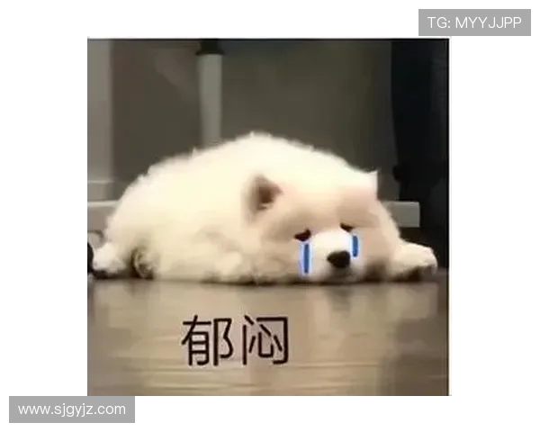 摊牌了！工位里的 “十五运会”：打工人的赛场日常