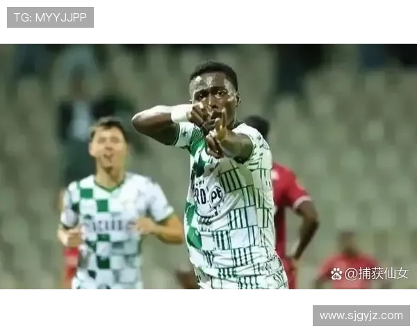 申花夏窗锁定葡超锋霸恩拉沃 重伤潮下调整外援补强锋线(3)